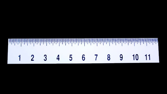 12 Ruler with Braille and Large Print
